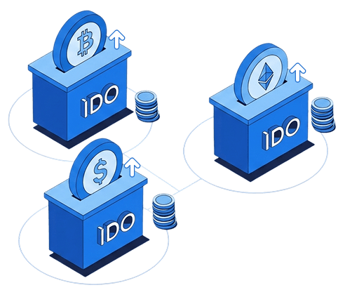 Initial DEX Offering (IDO) Development Company